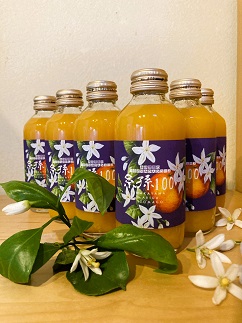 糸孫農園の100％みかんジュース「糸孫100」180ml 6本ギフトセット（A1043-1）