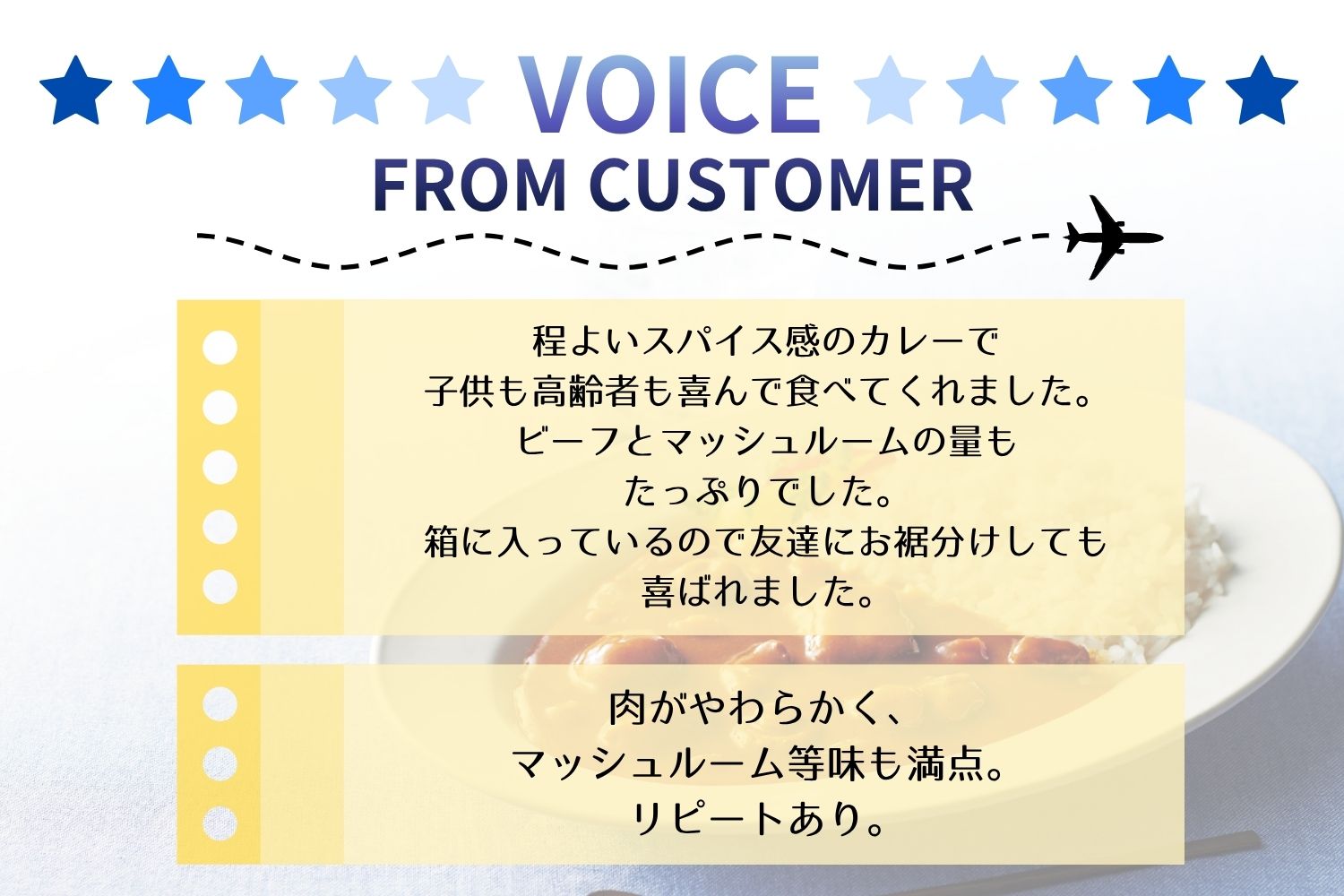 ANAオリジナルビーフコンソメスープを使ったとびっきりカレー８個セット（A1052-1）