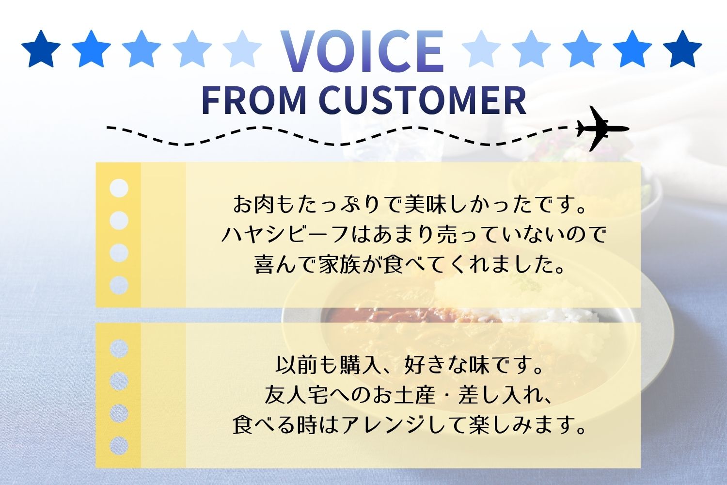 ANAオリジナルビーフコンソメスープを使ったとびっきりハヤシビーフ８個セット（A1053-1）