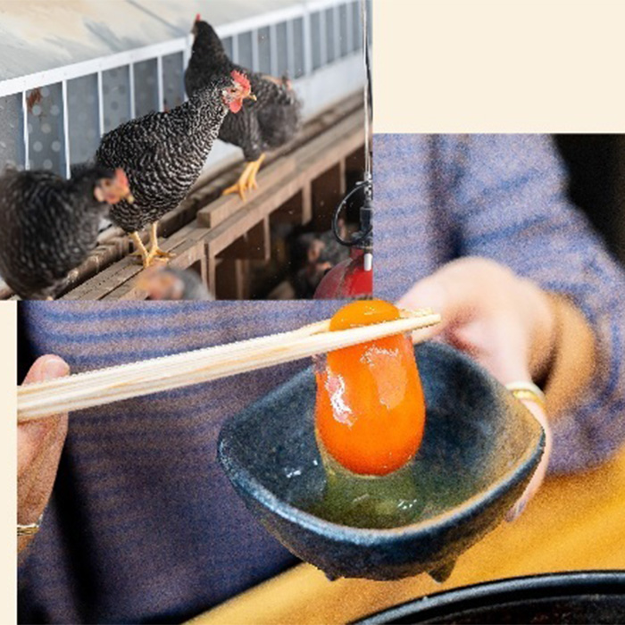 紀の国みかんどり 鶏すき焼きセット(A1100-1) 