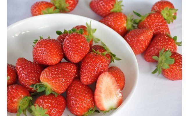 季節限定　毬姫プレミアム「毬姫様」(A155-2)