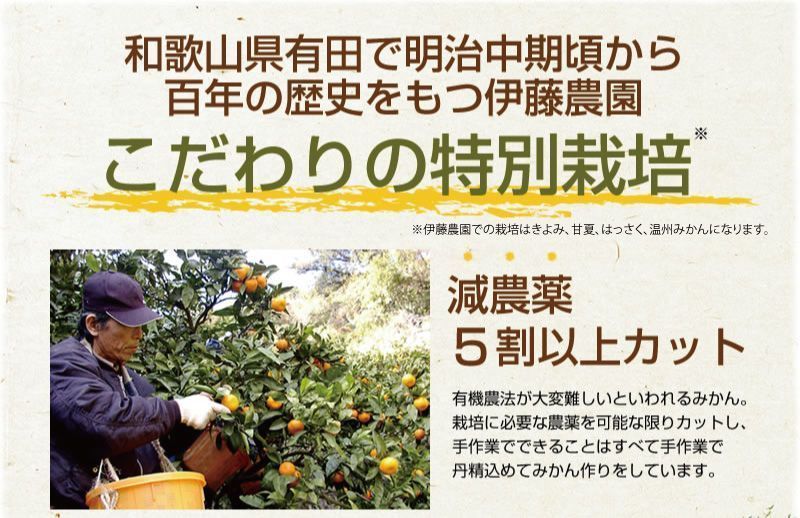 特選旬のかんきつ詰め合わせ１０ｋｇ(A156-3)