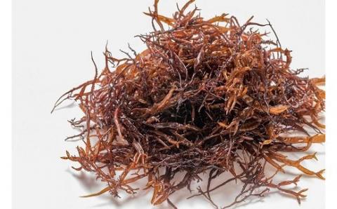 有田の天然フノリ５０ｇ×５袋(A277-1)