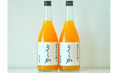 有田みかん搾り「うららか」2本セット(A290-1)