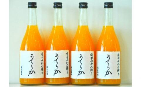 有田みかん搾り「うららか」4本セット(A291-2)