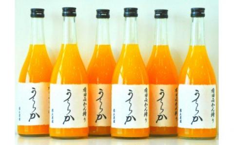 有田みかん搾り「うららか」6本セット(A292-2)