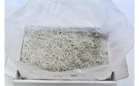 釜揚げしらす５００ｇ×２箱(A420-2)