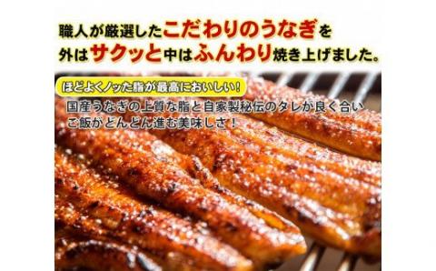 【うなぎ屋かわすい】国産うなぎ蒲焼5本セット（1本：120～149g）(A449-2)