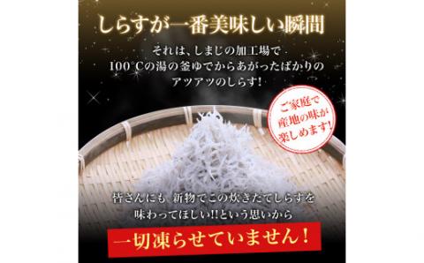 ザ☆プレミアムしらす1kg(A453-1)