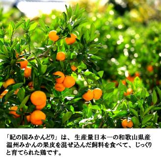 紀の国みかんどり　唐揚げ＆フライドチキン3種セット（計30個）(A581-1)