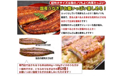 【数量限定】超特大サイズ国産うなぎ蒲焼き2本セット （230～249g×2本）(A632-2)