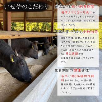 黒毛和牛100％希少なブランド熊野牛ハンバーグ（150ｇ×6個）(A663-1)