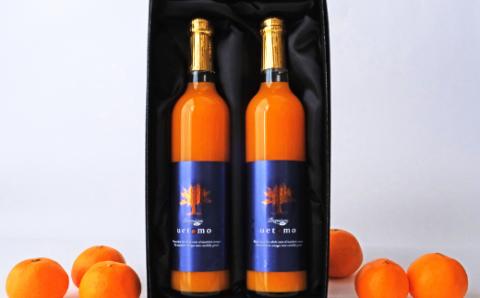 温州みかん100%ストレートジュース【Premium Taste uetomo】500ml×2本セット(A670-1)