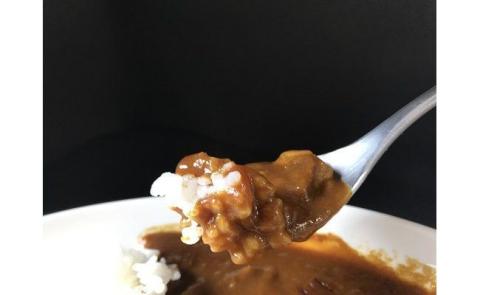 紀の国仕立てカレー【ビーフ】10個セット(A672-1)