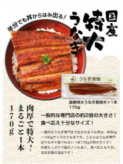 【うなぎ屋かわすい】国産うなぎ蒲焼3種セット(A6-1)