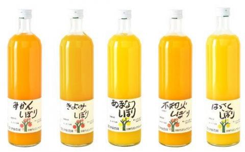 伊藤農園 100%ピュアジュース飲み比べ750ml×9本セット（A79-3）