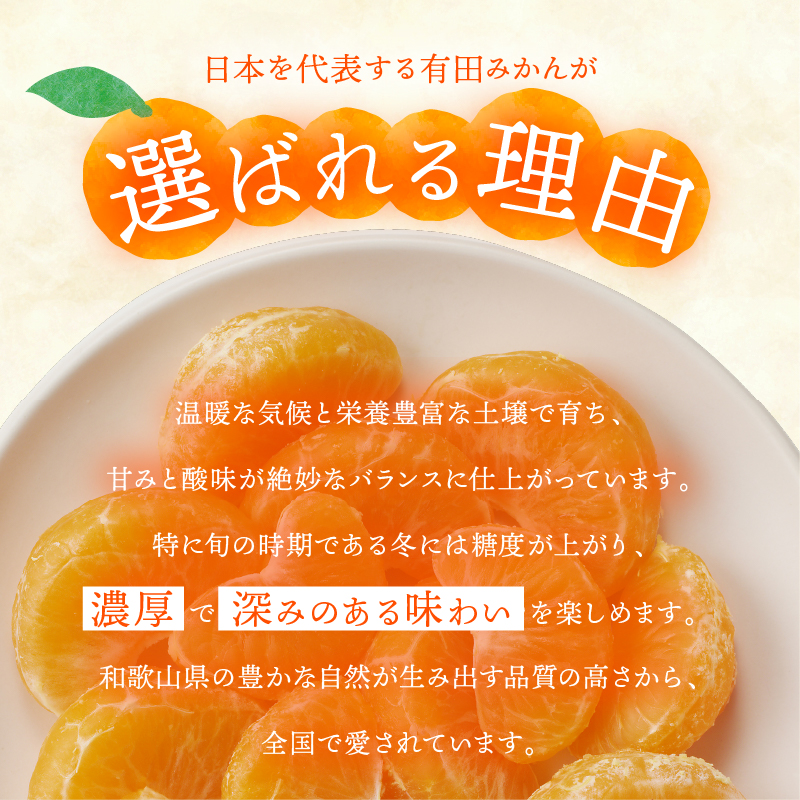 有田みかん「未来への虹」（5kg）(A973-2) 