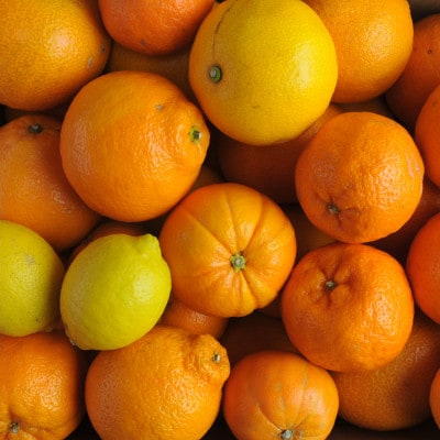 訳アリ 旬のかんきつ詰め合わせ 5kg(A974-3)