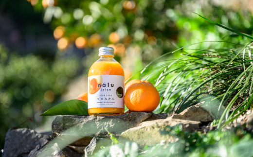 鳴川農園nalu juice 有田みかんジュース250ml×6本(A1026-2)