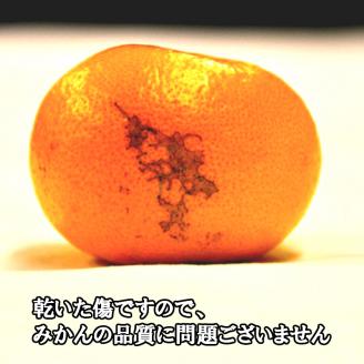 有田みかん「風のしるし」（約5ｋｇ）(A1051-1)