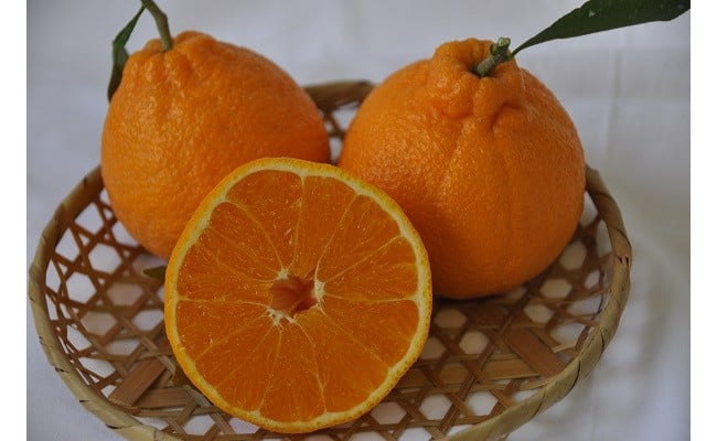 有田の旬果詰め合わせ(A152-1)