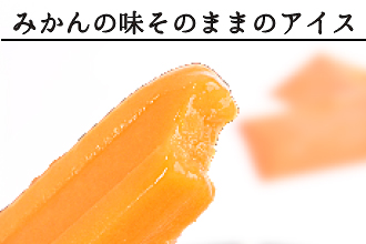 【早和果樹園】みかんアイスバー（氷菓）15本入（A177-2）