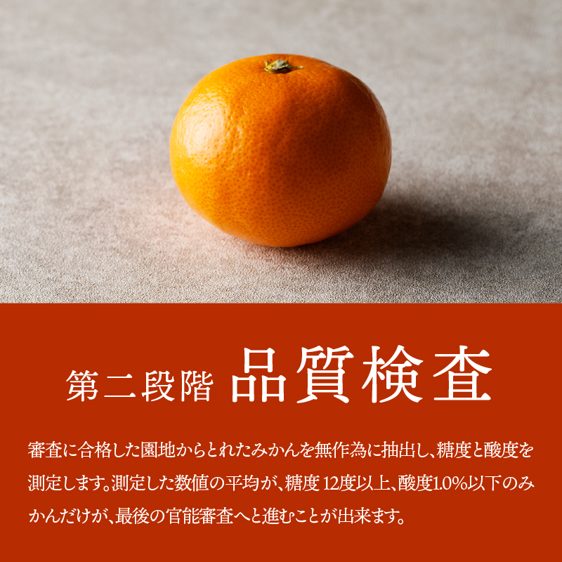 有田市認定みかん「未来への虹」至宝(5kg)【日本初自治体認定フルーツ】(A1-2) 