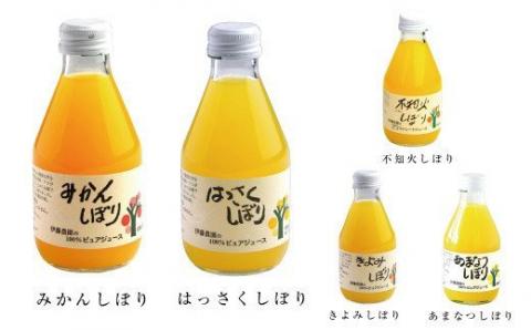 100％ピュアジュース10本 ギフトセット(A305-1)