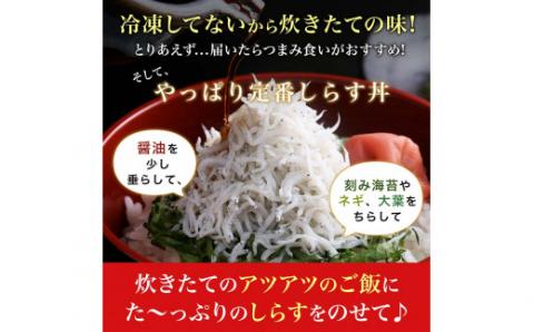 ザ☆プレミアムしらす1kg(A453-1)