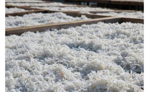 上干ちりめん1kg(ks-1)(A479-2)