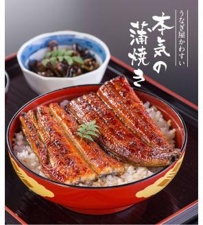 【うなぎ屋かわすい】超特大サイズ国産うなぎ蒲焼き5本セット（合計1kg）(A489-1)