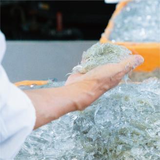 しらす職人が目利きした「釜揚げしらす」１.６ｋｇ(A535-2)