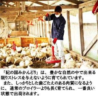 紀の国みかんどり　グリルチキン30本セット(A583-1)