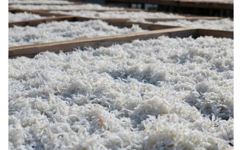 上干ちりめん165g×4パック(A692-2)