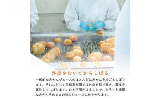 【早和果樹園】味こいしぼり（720ml×3本）（A955-1)