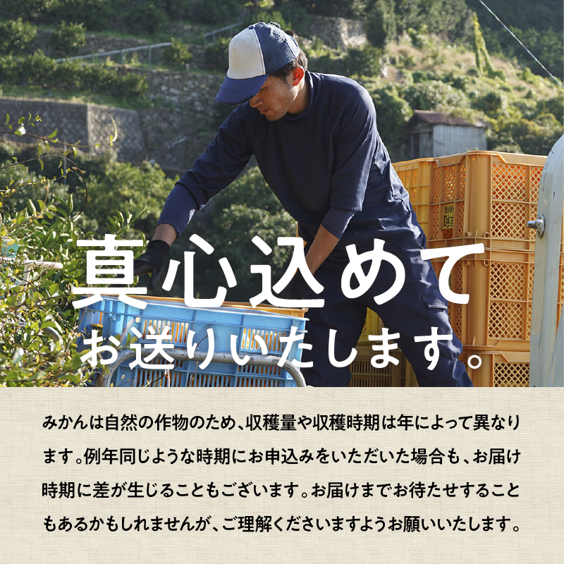 有田みかん「未来への虹」（5kg）(A973-2) 