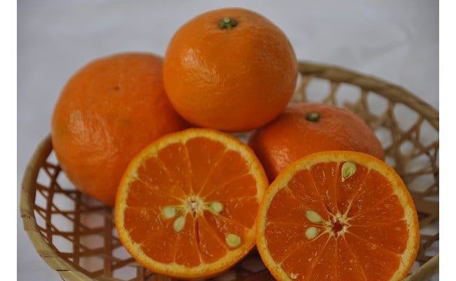 有田の旬果詰め合わせ(A152-1)