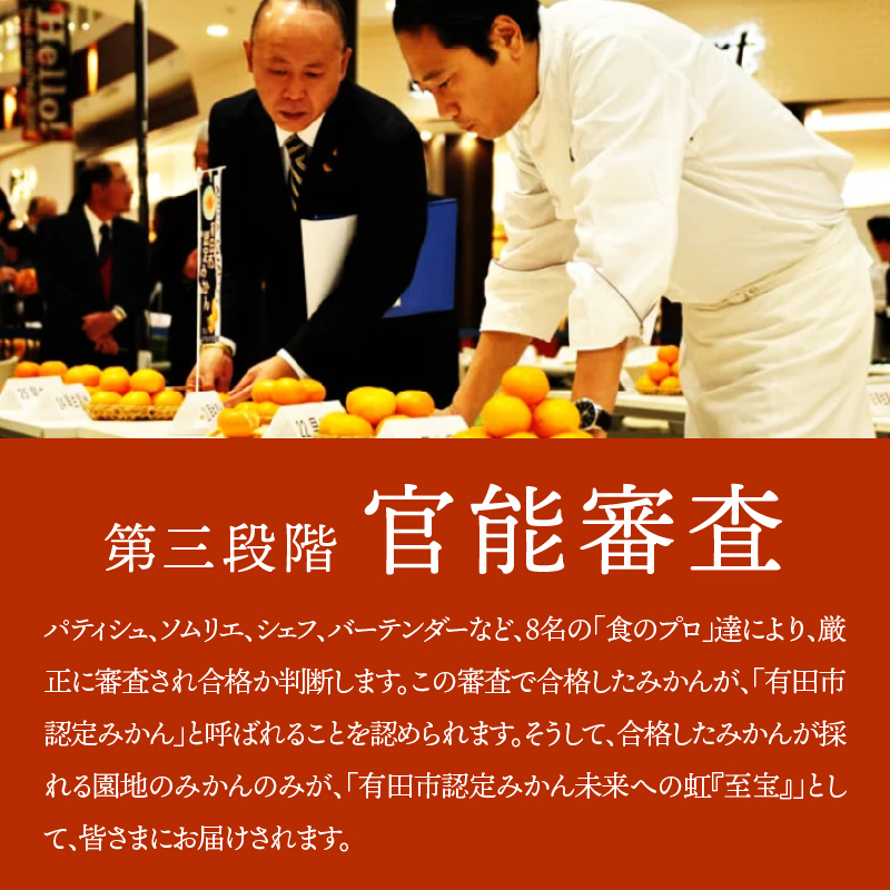 有田市認定みかん「未来への虹」至宝(5kg)【日本初自治体認定フルーツ】(A1-2) 