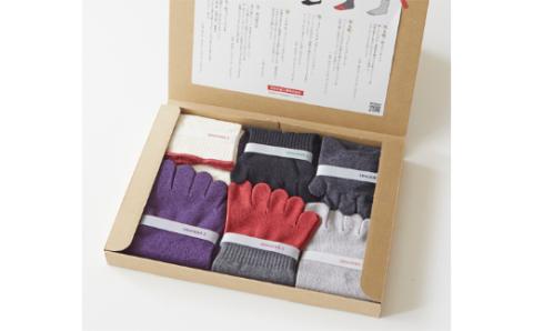 5本指ソックス春夏秋冬セット(22-24㎝)(A422-3)