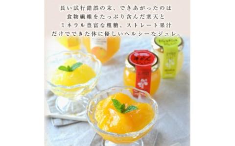 523.ピュアフルーツ寒天ジュレ ドリンクタイプ　温州みかん12本セット(A523-3)