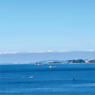 しらす職人が目利きした「釜揚げしらす」１.６ｋｇ(A535-2)