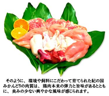 紀の国みかんどり　特選唐揚げ40個セット(A582-1)