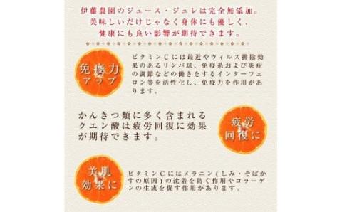 伊藤農園 ピュアフルーツ寒天ジュレドリンクタイプ うめ 12本セット(A641-3)