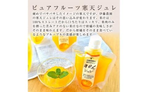 【定期便】伊藤農園 寒天ジュレドリンクタイプ12個セット(3ヶ月お届け)(A658-2)