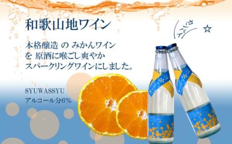 シュワッと爽やかスパークリングワインセット(A95-1)