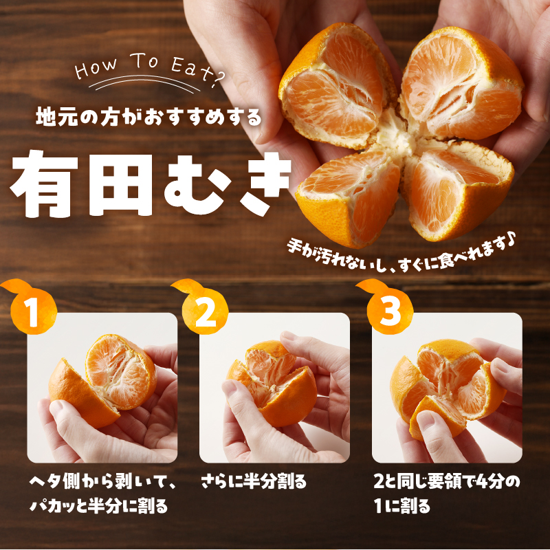 有田みかん「未来への虹」（5kg）(A973-2) 