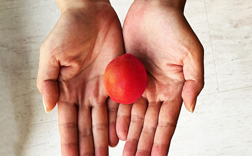 MIYAYOSHI BLACK LABEL　No.03 large bottle(A894-4)