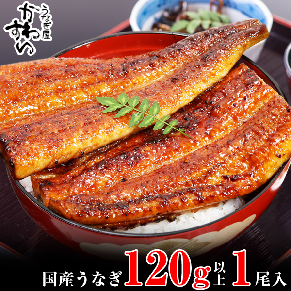 国産うなぎ蒲焼120ｇ 1本セット(A1001-1)