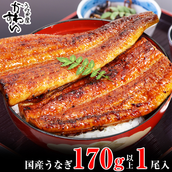 特大サイズ国産うなぎ蒲焼き170g1本セット(A1003-1)