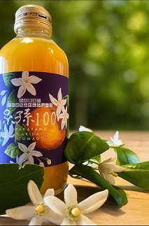 糸孫農園の100％みかんジュース「糸孫100」180ml 6本ギフトセット（A1043-1）